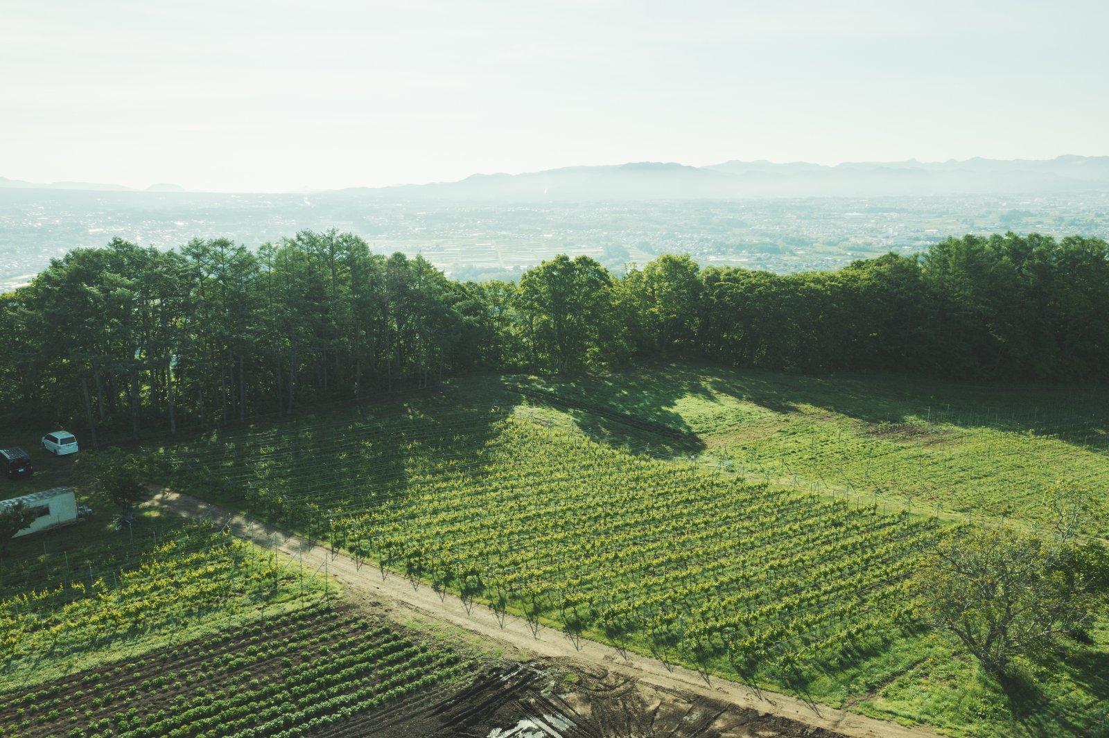 024-240530-DJI_0287.jpg