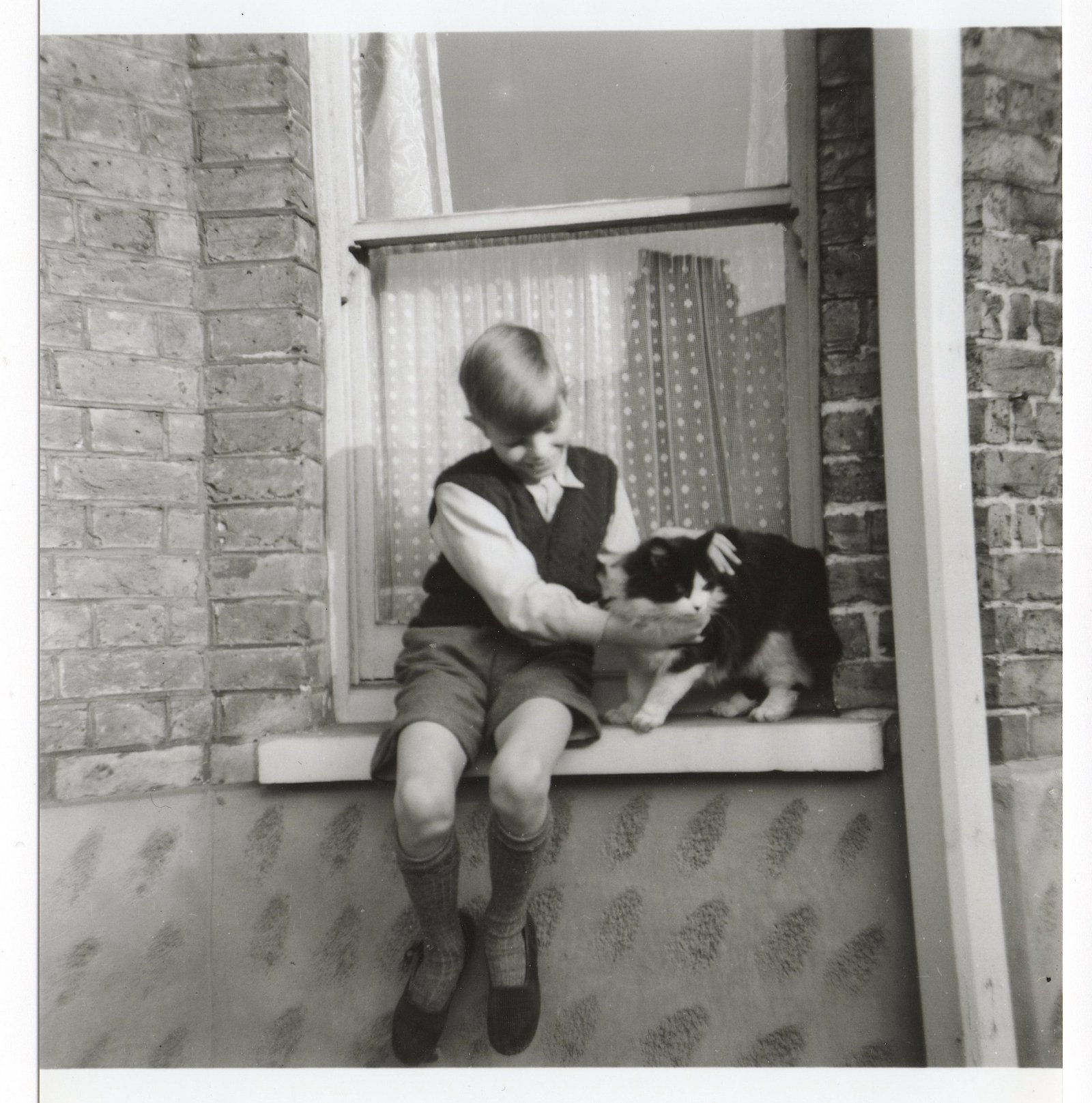 TOP画像　David & cat c.1956.jpg
