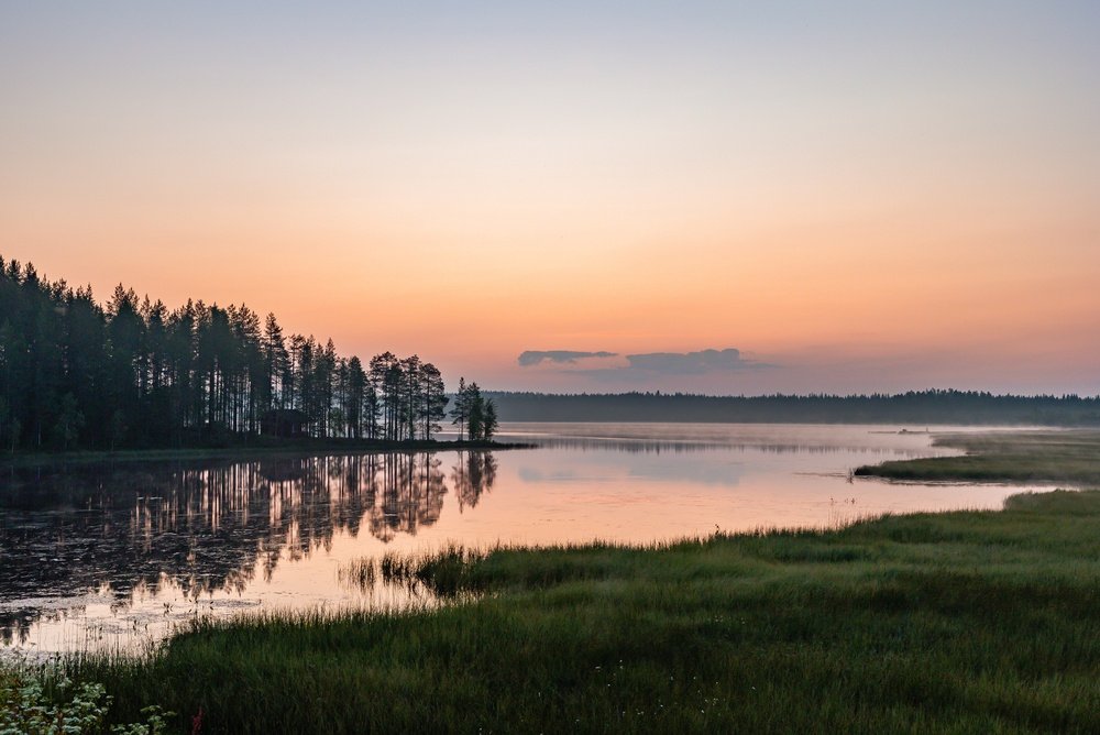 shutterstock_2757692795.jpg