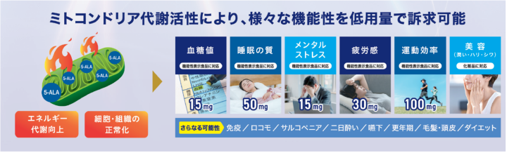 2606sr_fbn07.png