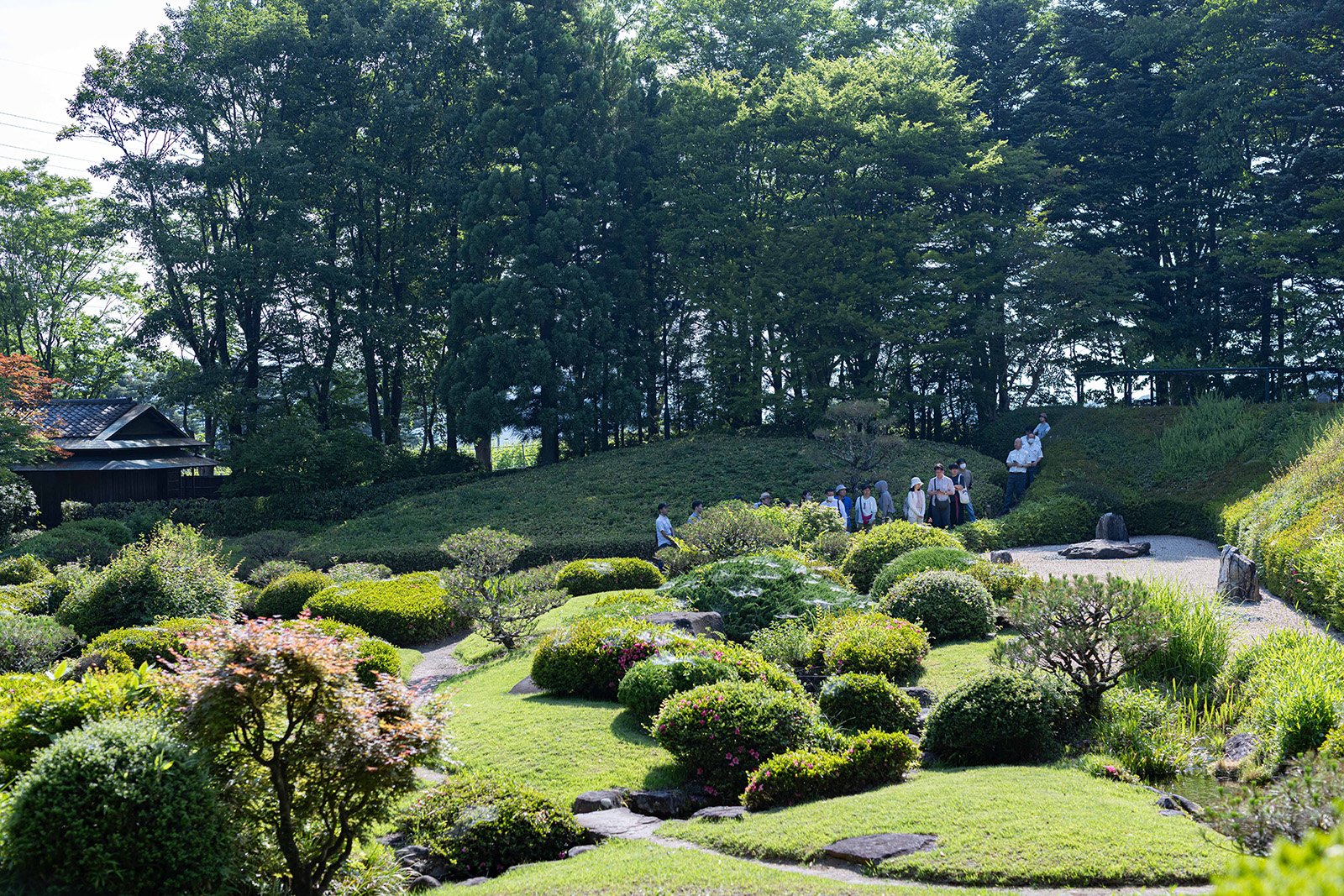 260824-japanese-winery-05.jpg