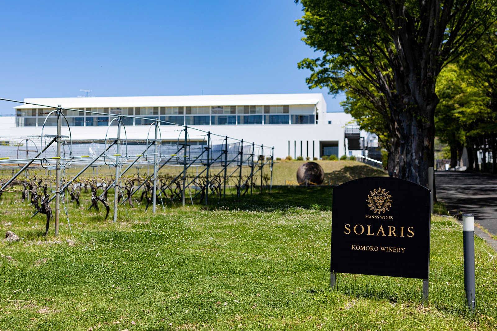 260824-japanese-winery-08.jpg