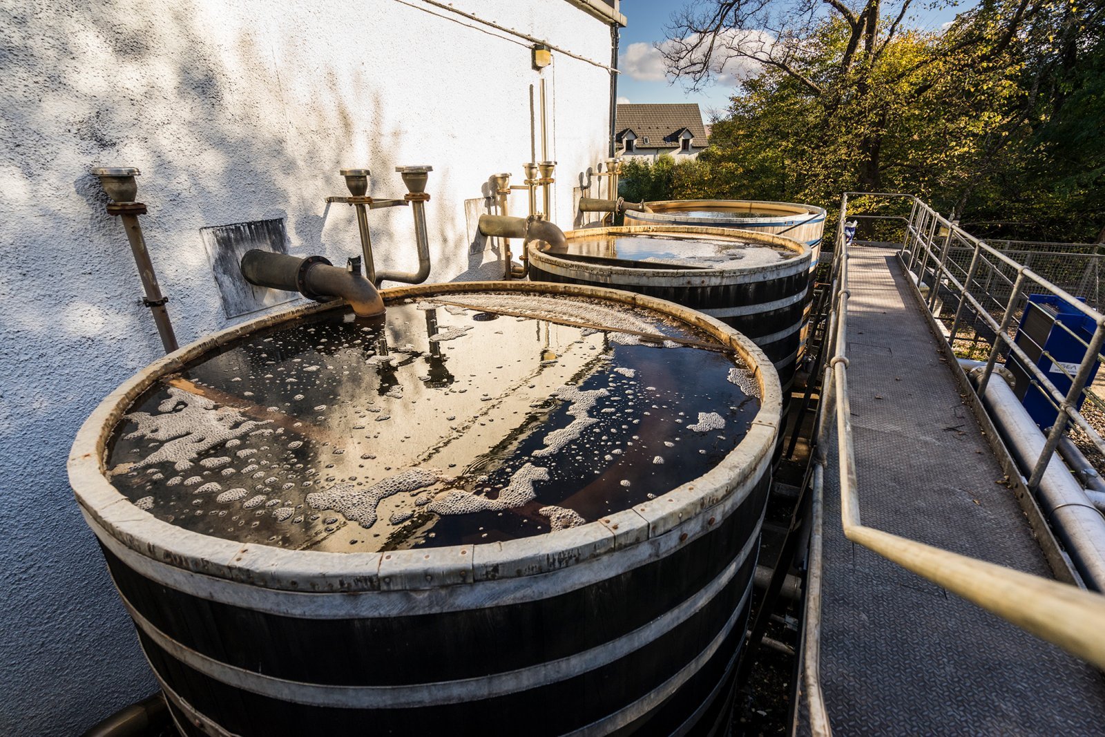 5515092_Talisker_0833 (1).jpg