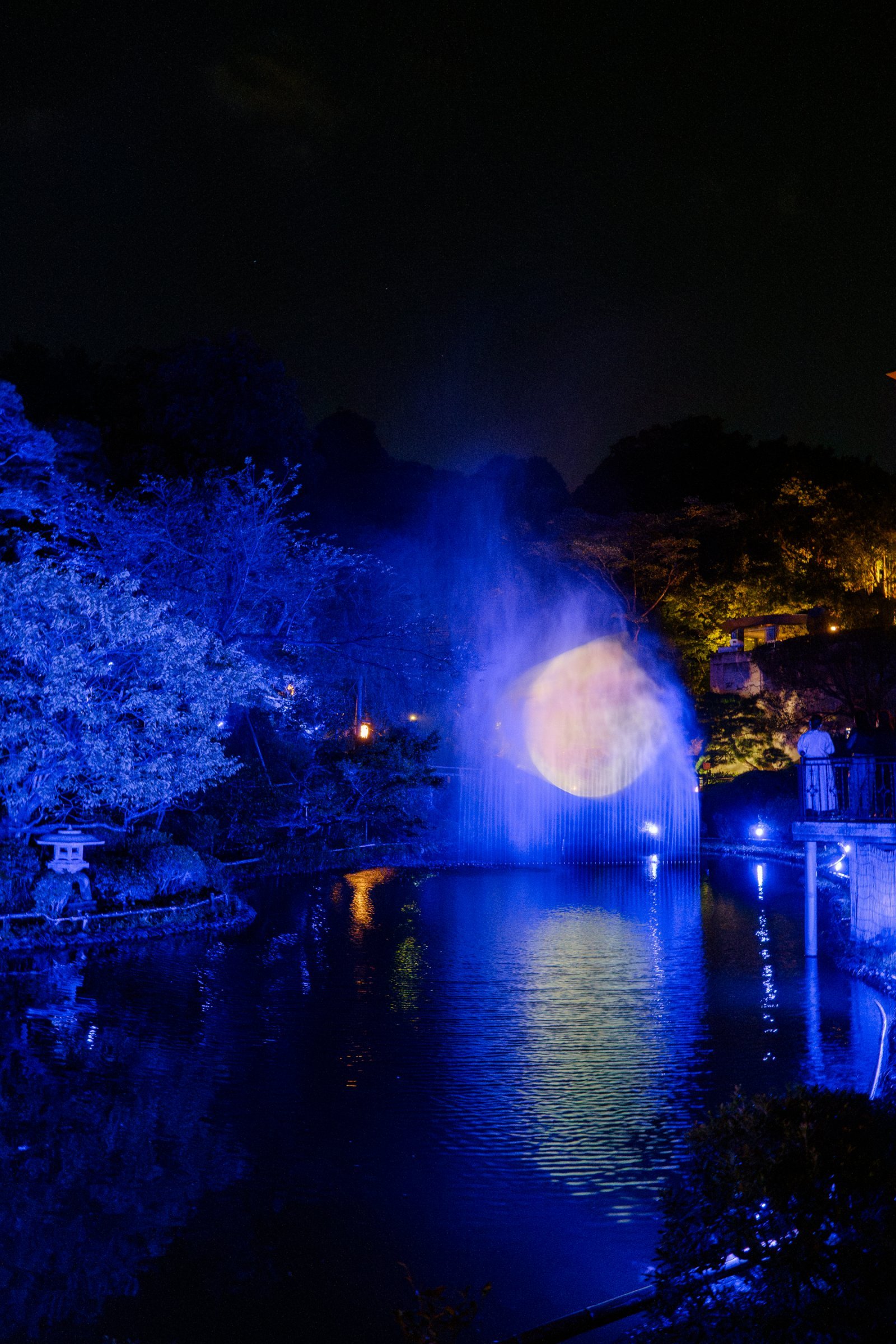 DSC02533-強化-NR.jpg