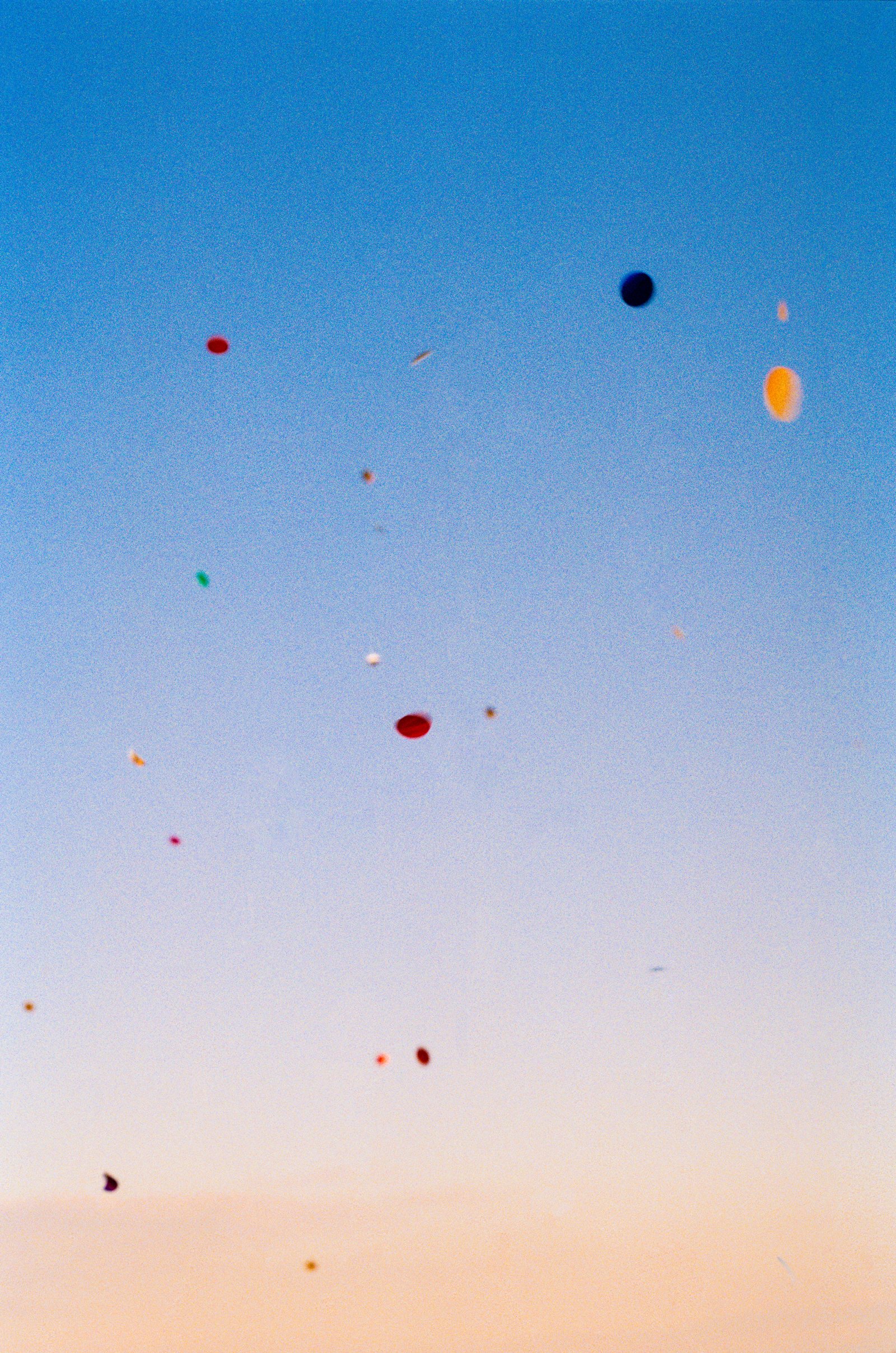 6_sk0415-01.jpg