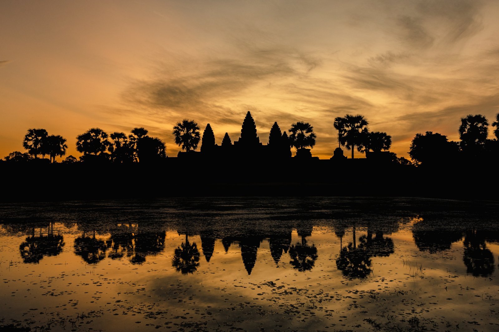 Amansara, Camboida - Activities, Angkor Temple Tour, Angkor Wat, Sunrise, Reflecting Pond_35827.jpg