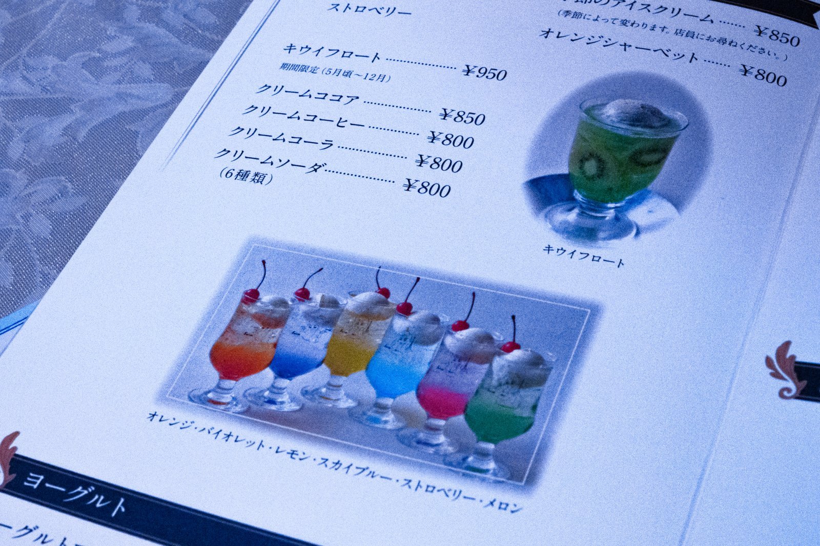 DSC00950.jpg