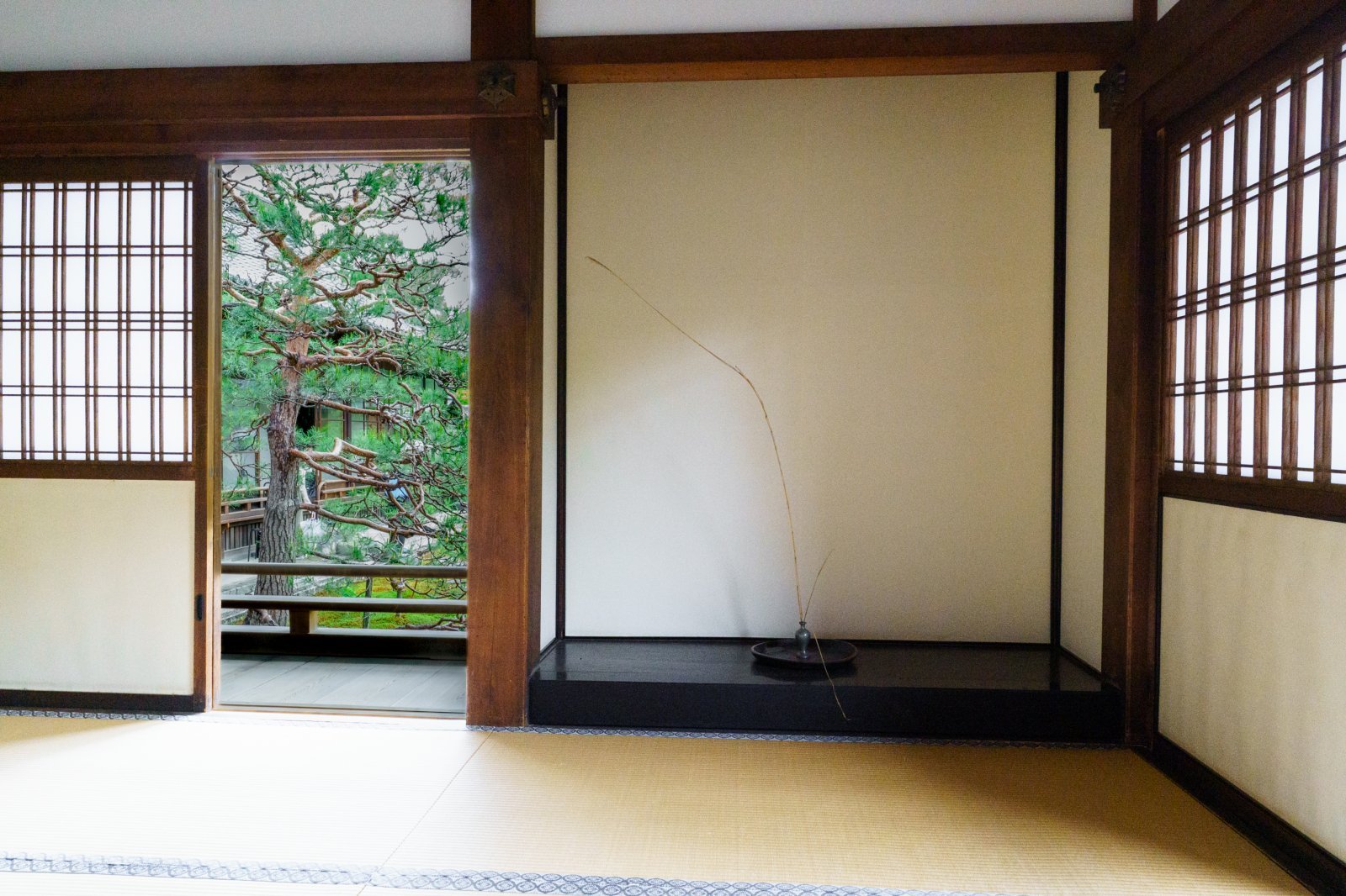 DSC03087.jpg