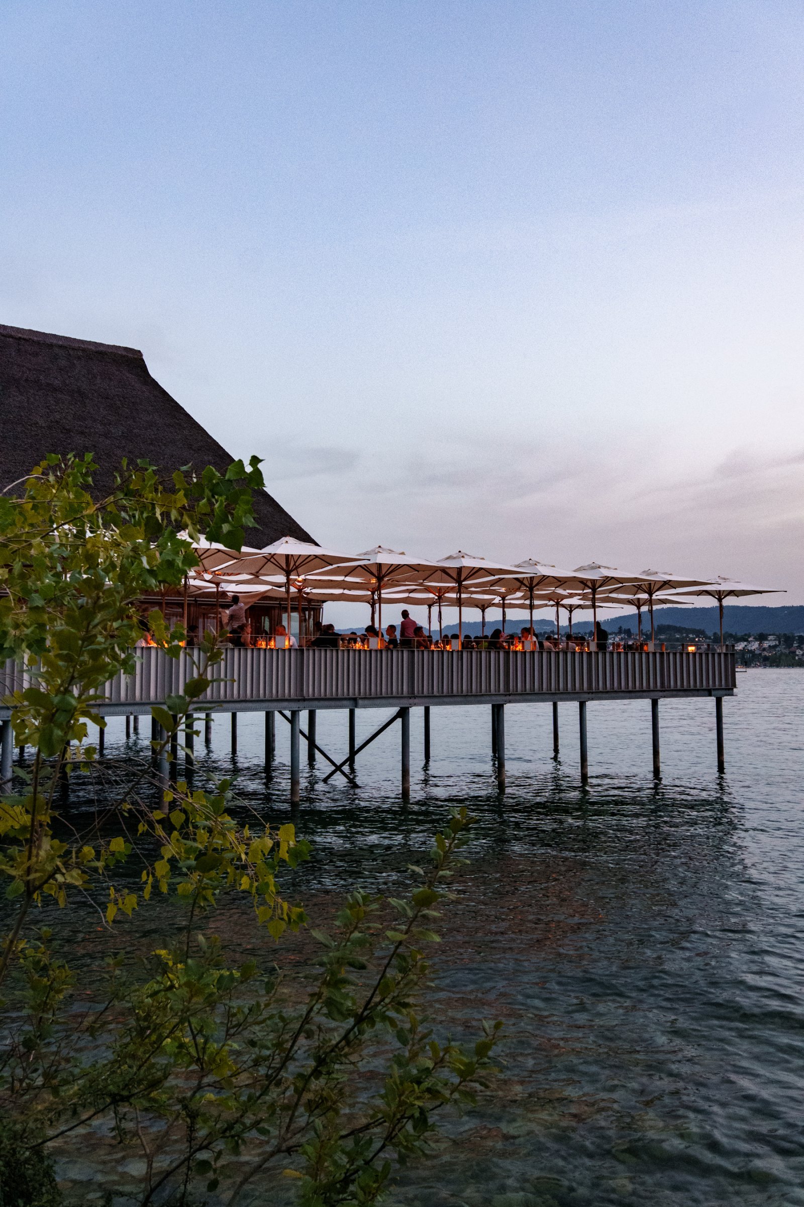 DSC05317-2.jpg