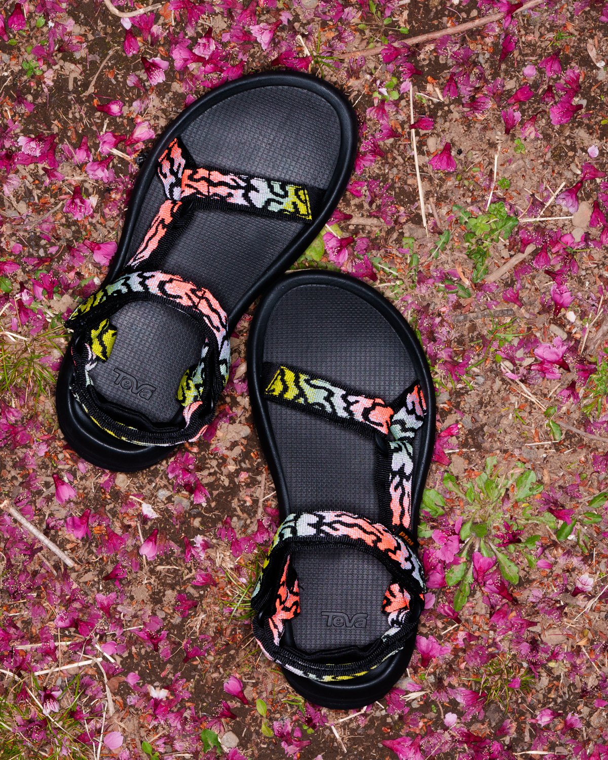 TEVA08456.jpg