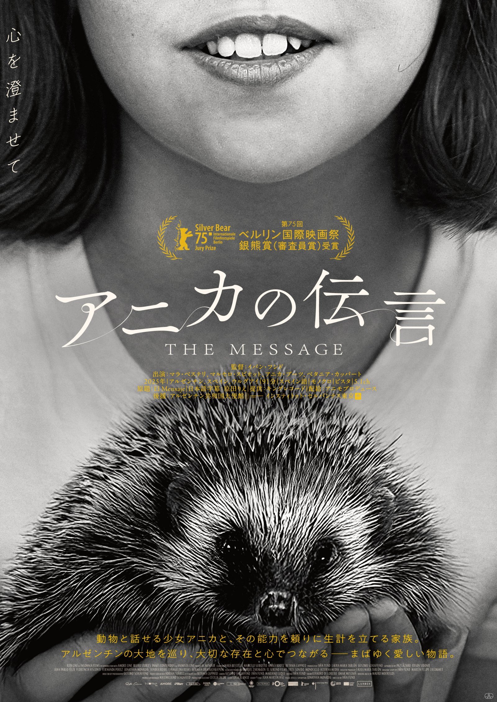 『アニカの伝言』ポスタービジュアル.jpg