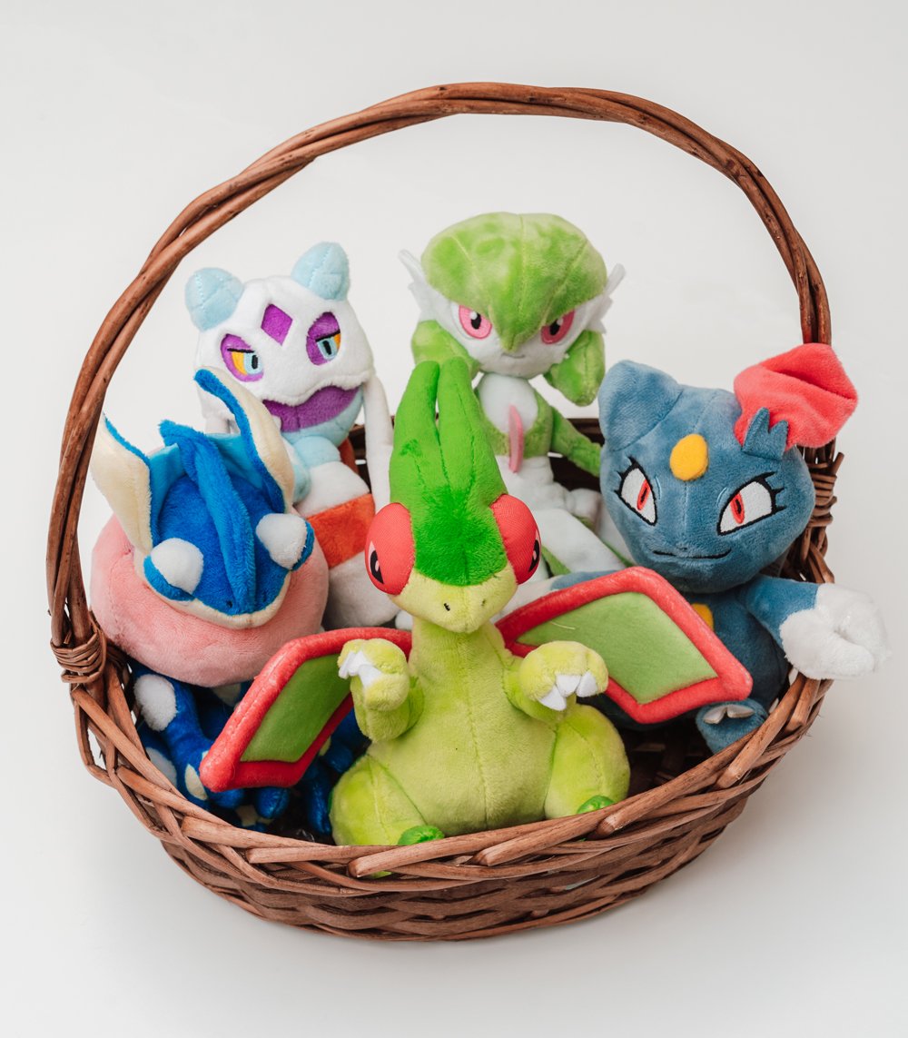 栗原 類　お気に入りのポケモンたち