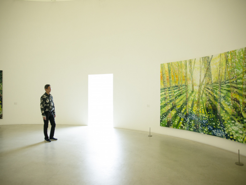 金沢21世紀美術館 大岩オスカール 光をめざす旅 展で あふれる色彩や光に包まれる Pen Online