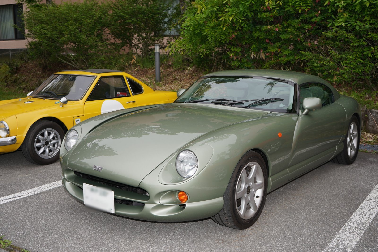 tvr06_1.jpg